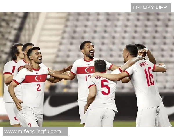 2008年欧洲杯土耳其对捷克切赫精彩表现回顾与分析