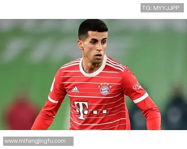 坎塞洛的足球之路:从青训到欧洲顶级联赛的辉煌历程与挑战 坎塞洛的足球之路:从青训到欧洲顶级联赛的辉煌历程与挑战