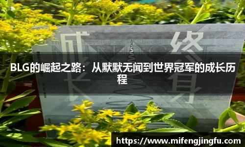 BLG的崛起之路：从默默无闻到世界冠军的成长历程