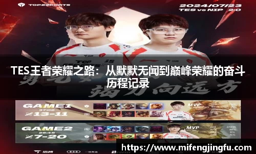 TES王者荣耀之路：从默默无闻到巅峰荣耀的奋斗历程记录